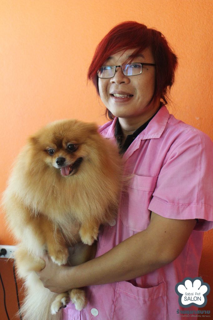 Pet Grooming Services Chiang Mai